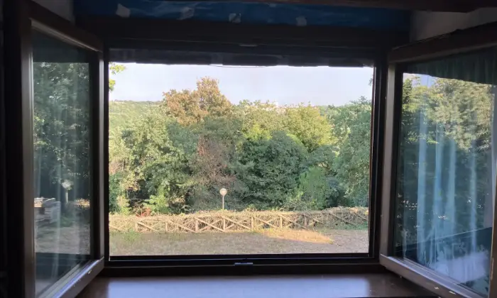 Rexer-Zagarolo-Villacasale-immersa-nel-verde-con-piscina-Altro