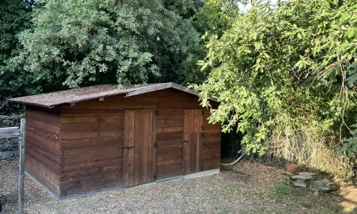Rexer-Zagarolo-Villacasale-immersa-nel-verde-con-piscina-Terrazzo