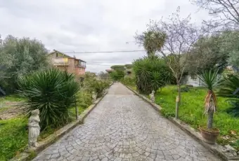 Rexer-Zagarolo-Vendesi-Villa-in-piazza-Santa-Maria-Centro-Zagarolo-Giardino