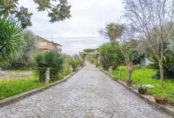 Rexer-Zagarolo-Vendesi-Villa-in-piazza-Santa-Maria-Centro-Zagarolo-Giardino