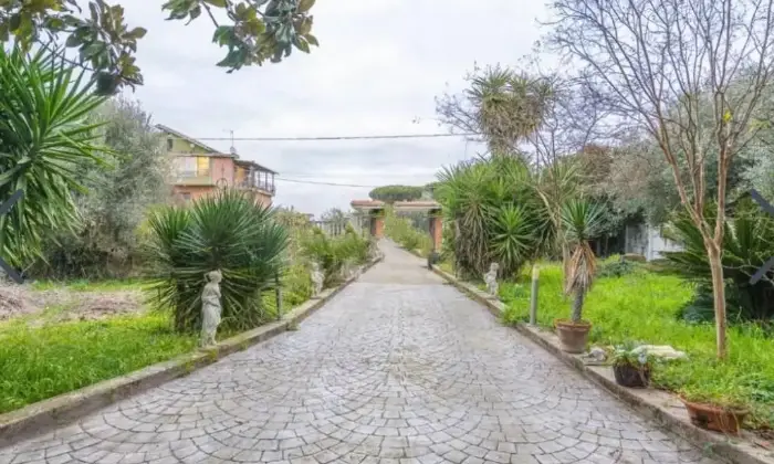 Rexer-Zagarolo-Vendesi-Villa-in-piazza-Santa-Maria-Centro-Zagarolo-Giardino