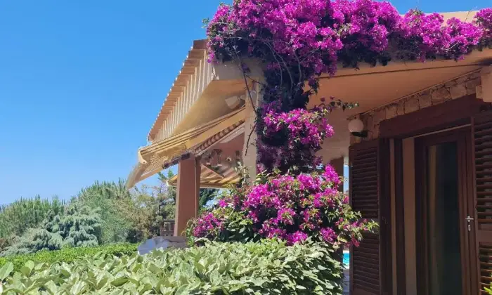 Rexer-Trinit-dAgultu-e-Vignola-Villa-a-schiera-via-La-Serrera-a-Trinit-dAgultu-e-Vignola-Giardino
