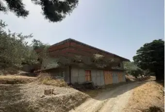 Rexer-Fiumedinisi-Tenuta-Siciliana-vicino-Taormina-vista-mare-Altro
