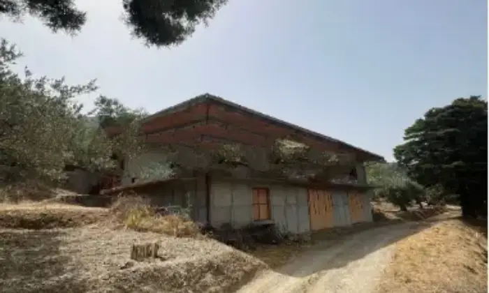 Rexer-Fiumedinisi-Tenuta-Siciliana-vicino-Taormina-vista-mare-Altro