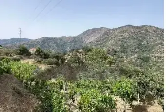 Rexer-Fiumedinisi-Tenuta-Siciliana-vicino-Taormina-vista-mare-Giardino