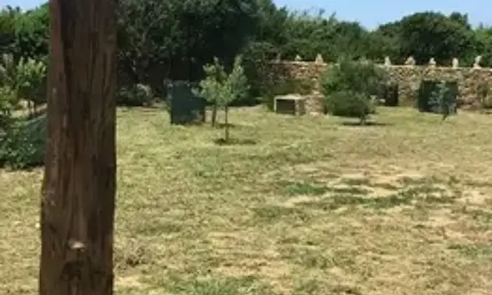 Rexer-Santa-Teresa-Gallura-CasaIndipendente-in-Localit-Li-Luccianeddi-Santa-Teresa-Gallura-Giardino