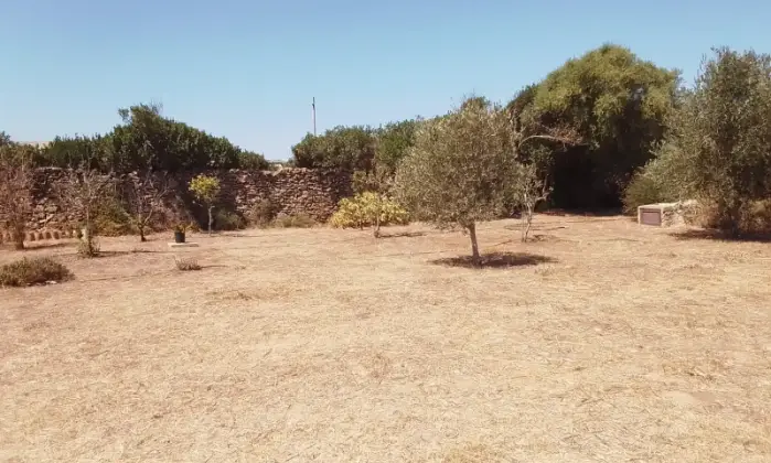 Rexer-Santa-Teresa-Gallura-CasaIndipendente-in-Localit-Li-Luccianeddi-Santa-Teresa-Gallura-ALTRO