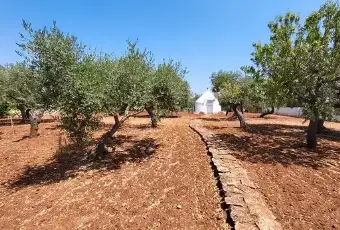 Rexer-Putignano-CasaIndipendente-in-Strada-Comunale-Gorgo-di-Mola-Putignano-Putignano-Terrazzo