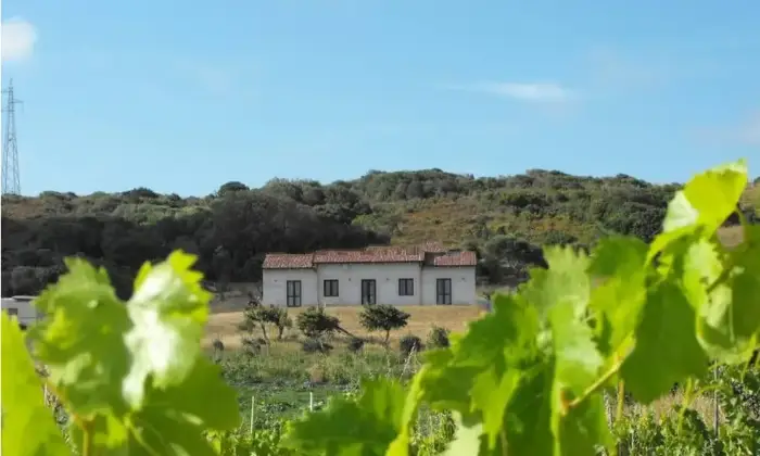 Rexer-Santa-Teresa-Gallura-Vendesi-Propriet-rustica-in-via-Petra-di-CssuSanta-Teresa-Gallura-Terrazzo