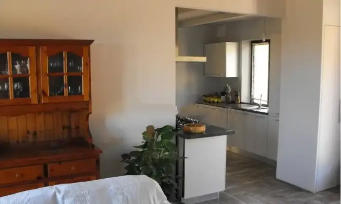 Rexer-Santa-Teresa-Gallura-Agricamping-con-casa-a-km-dal-mare-Santa-Teresa-Gallura-Altro