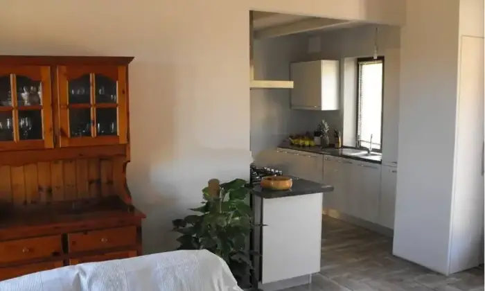 Rexer-Santa-Teresa-Gallura-Vendesi-Propriet-rustica-in-via-Petra-di-CssuSanta-Teresa-Gallura-Altro