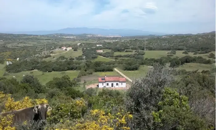 Rexer-Santa-Teresa-Gallura-Agricamping-con-casa-a-km-dal-mare-Santa-Teresa-Gallura-Terrazzo