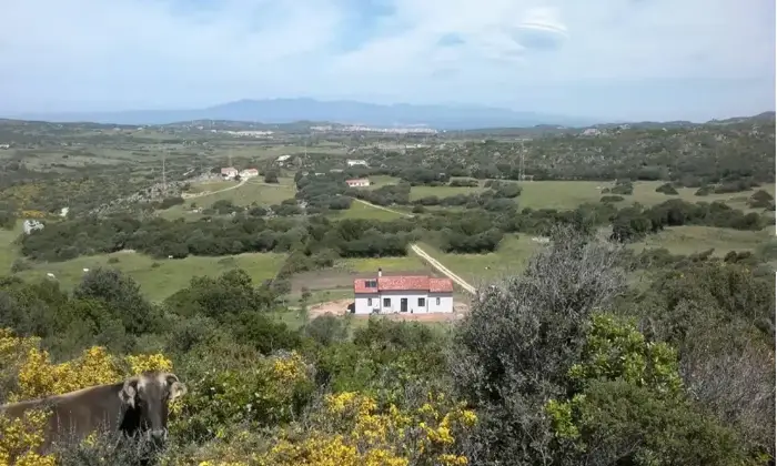 Rexer-Santa-Teresa-Gallura-Vendesi-Propriet-rustica-in-via-Petra-di-CssuSanta-Teresa-Gallura-Terrazzo