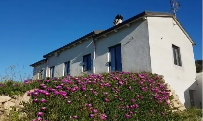 Rexer-Santa-Teresa-Gallura-Agricamping-con-casa-a-km-dal-mare-Santa-Teresa-Gallura-Terrazzo