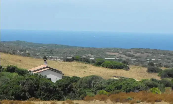 Rexer-Santa-Teresa-Gallura-Agricamping-con-casa-a-km-dal-mare-Santa-Teresa-Gallura-Terrazzo