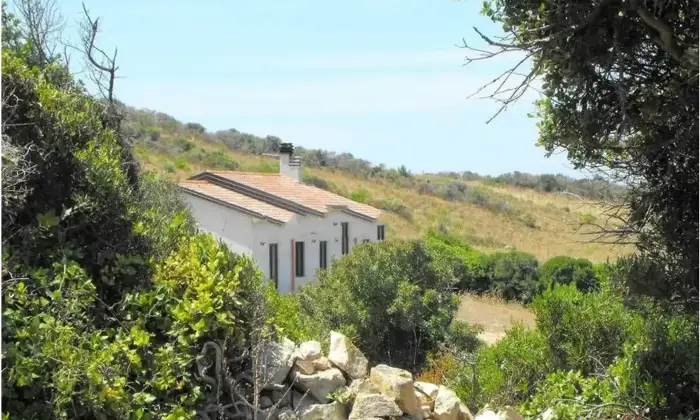 Rexer-Santa-Teresa-Gallura-Agricamping-con-casa-a-km-dal-mare-Santa-Teresa-Gallura-Terrazzo