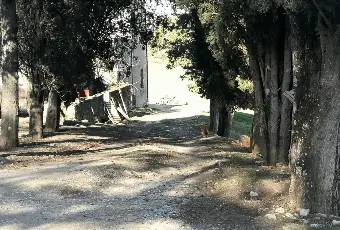 Rexer-Casole-dElsa-Casalecascina-in-vendita-in-Podere-la-serra-Casole-dElsa-Terrazzo