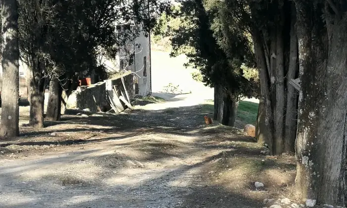 Rexer-Casole-dElsa-Casalecascina-in-vendita-in-Podere-la-serra-Casole-dElsa-Terrazzo