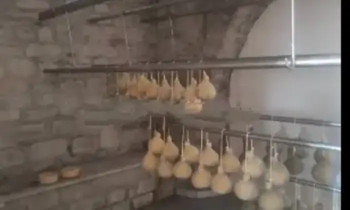 Rexer-Bisaccia-Masseria-Contrada-Petrara-Altro