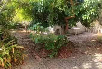 Rexer-Pace-del-Mela-Appartamento-ingresso-autonomo-Giardino