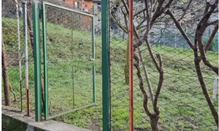 Rexer-Verceia-Vendesi-Propriet-rustica-con-terreni-a-Verceia-Giardino
