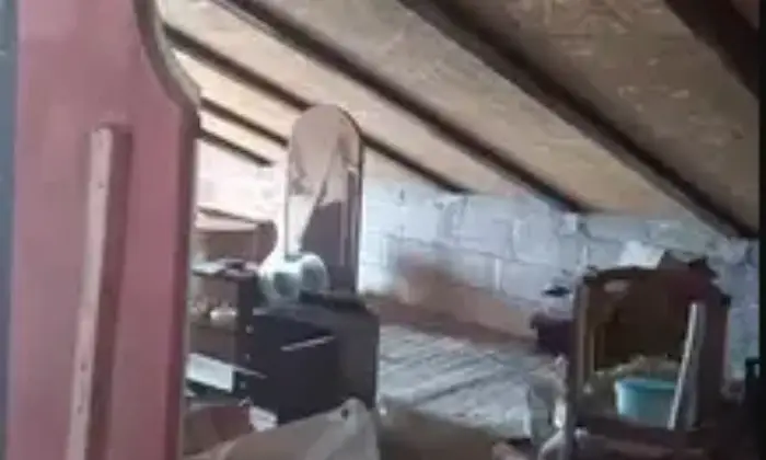 Rexer-Apiro-Casa-completamente-ristrutturata-Garage