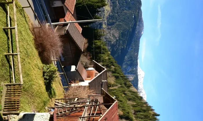 Rexer-Canal-San-Bovo-Appartamento-in-Localit-Coroni-Canal-San-Bovo-Altro