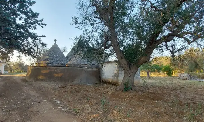 Rexer-Latiano-Trullo-contrada-Coltura-Latiano-con-terreno-Altro