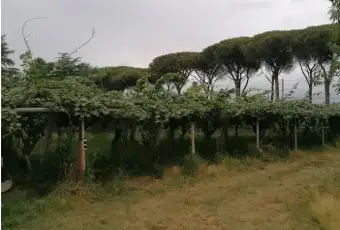 Rexer-Latina-Vendesi-casa-indipendente-in-via-AppiaLatina-Scalo-Latina-Terrazzo