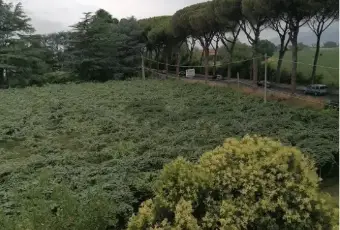 Rexer-Latina-Vendesi-casa-indipendente-in-via-AppiaLatina-Scalo-Latina-Terrazzo