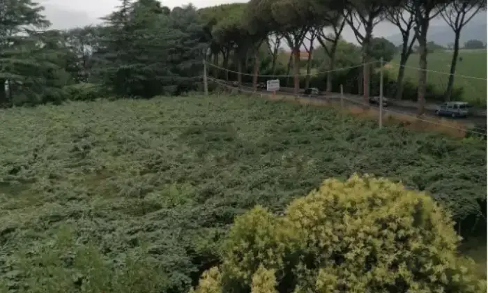 Rexer-Latina-Vendesi-casa-indipendente-in-via-AppiaLatina-Scalo-Latina-Terrazzo