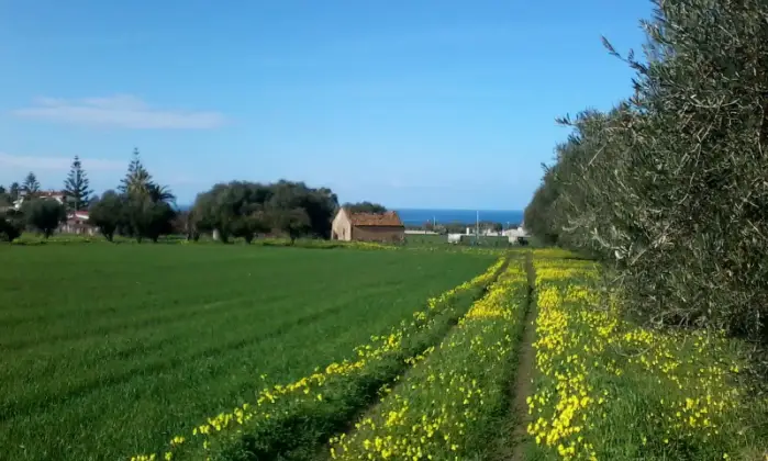 Rexer-Ricadi-Rustico-Casale-in-Contrada-Frizza-Ricadi-Terrazzo