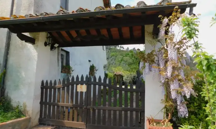 Rexer-Lucca-Vendesi-Propriet-rustica-in-via-di-Formentale-a-Lucca-Terrazzo