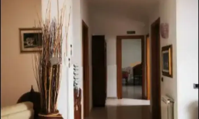 Rexer-Sapri-Trilocale-via-San-Francesco-dAssisi-Centro-Sapri-Altro