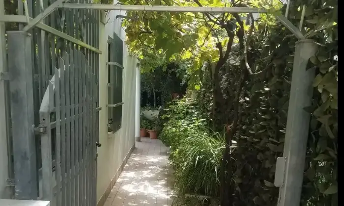 Rexer-Riccione-Riccione-Zona-PortoImmobile-con-grande-giardino-Giardino