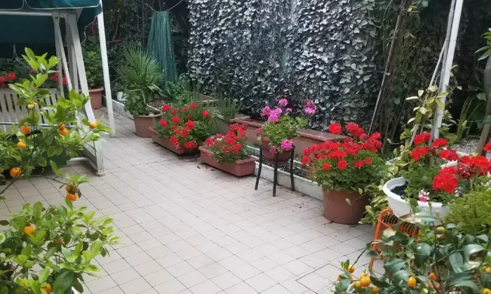 Rexer-Riccione-Riccione-Zona-PortoImmobile-con-grande-giardino-Giardino