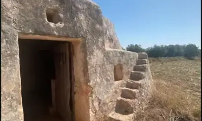 Rexer-Ostuni-Vendesi-Trullo-in-Contrada-GiovannarollaOstuni-BR-Cantina