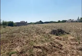 Rexer-Ostuni-Vendesi-Trullo-in-Contrada-GiovannarollaOstuni-BR-Terrazzo