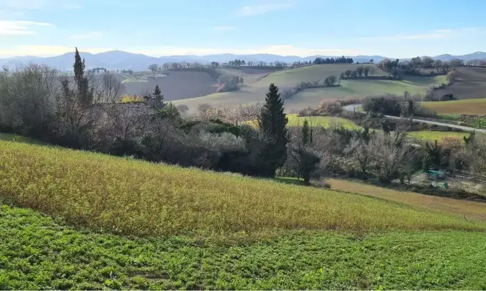 Rexer-Pesaro-Rustico-Casale-in-Strada-Gavella-Pesaro-Terrazzo