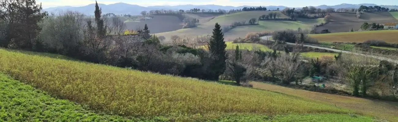 Rexer-Pesaro-Rustico-Casale-in-Strada-Gavella-Pesaro-Terrazzo