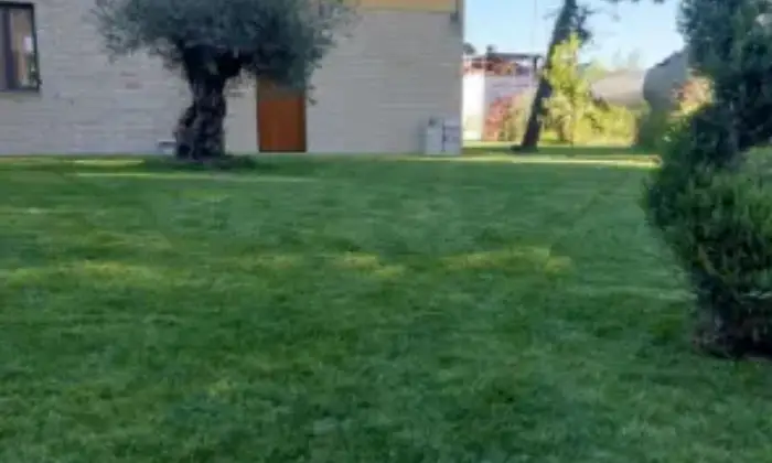 Rexer-Montefiore-dellAso-Villa-Casa-indipendente-in-Contrada-Aso-Montefiore-dellAso-Giardino