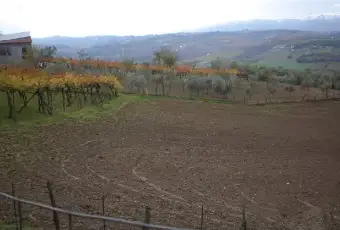 Rexer-Gesualdo-Vendesi-villa-in-campagna-a-Gesualdo-AV-Terrazzo