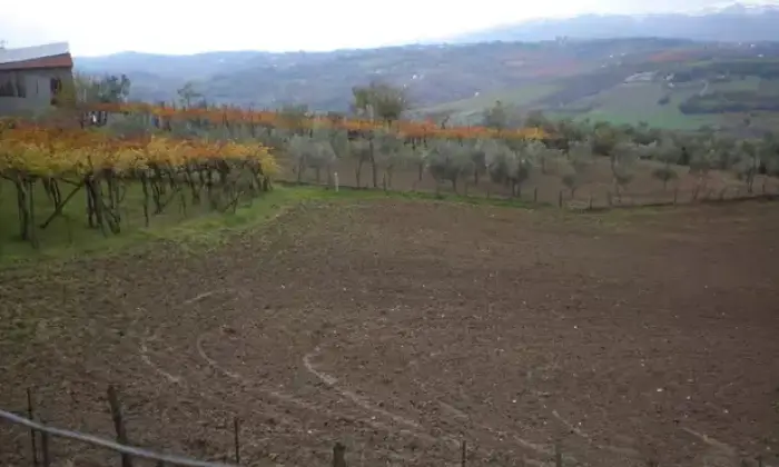 Rexer-Gesualdo-Vendesi-villa-in-campagna-a-Gesualdo-AV-Terrazzo