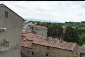 Rexer-Sarteano-Appartamento-su-livelli-in-vendita-in-via-dei-Fiori-Terrazzo