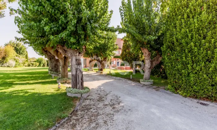 Rexer-Sirolo-Elegante-villa-con-piscina-a-pochi-passi-dal-mare-GIARDINO