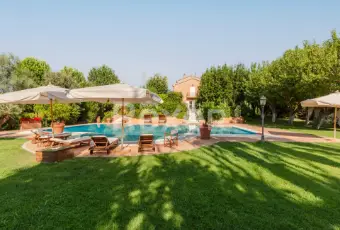 Rexer-Sirolo-Elegante-villa-con-piscina-a-pochi-passi-dal-mare-PISCINA
