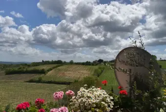 Rexer-Montepulciano-Panoramico-riservato-luminoso-Appartamento-in-Montepulciano-Terrazzo