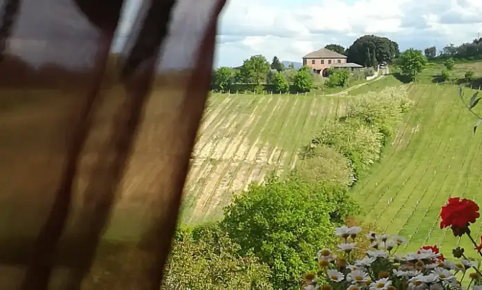 Rexer-Montepulciano-Panoramico-riservato-luminoso-Appartamento-in-Montepulciano-Terrazzo