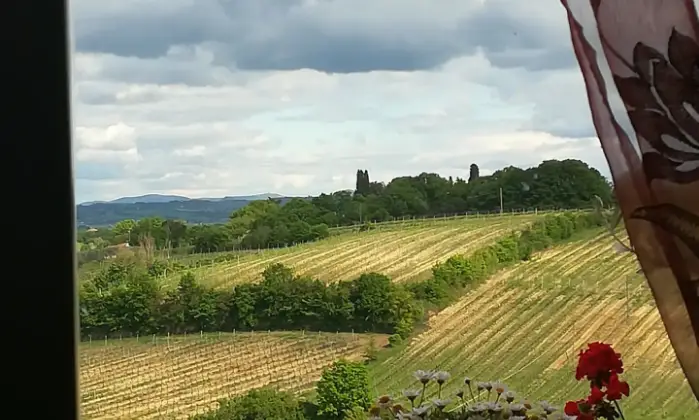 Rexer-Montepulciano-Panoramico-riservato-luminoso-Appartamento-in-Montepulciano-Terrazzo