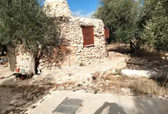Rexer-Andria-VENDO-TRULLO-DI-MQ-SU-TERRENO-DI-MQ-Terrazzo